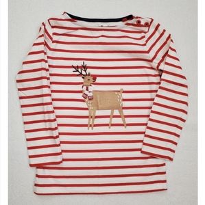 Festive Breton Top